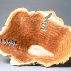 Big leaf maple burl (&amp;quot; Amorphic&amp;quot; Series). Bandsawing  laminated  carving and disc sanding techs.