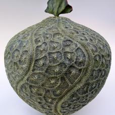 Maple vessel; turned  carved  textured  acrylic paints.